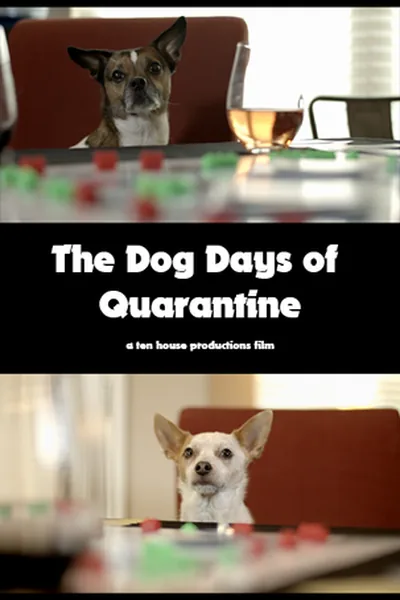 Poster for The Dog Days of Quarantine
